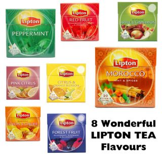 LIPTON TEA BAGS   REAL FRUIT & SPICES   8 WONDERFUL FLAVOURS TO CHOOSE 