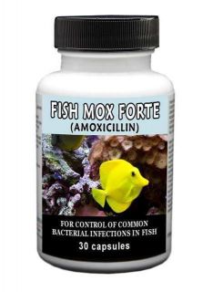 Fish Mox Forte 500mg ♦ Amoxicillin ♦ 30 or 100 ct ♦ Antibiotic 
