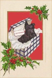   Terrier Puppy in Gift Box by John Atherton ~ New Christmas Note Cards