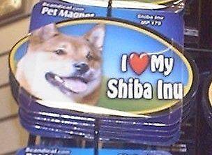Shiba Inu 6 inch oval magnet for car or anything metal new