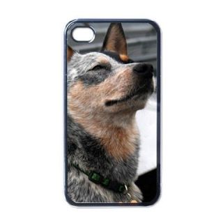 Cattle Blue Red Heeler Dog Puppy Puppies #5 Apple iPhone 4 Case Cover