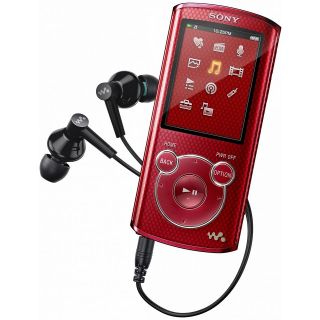 Sony NWZ E463 Walkman 4GB Media Video Music WMV WMA  Player with FM 