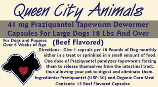 15 Queen City Animals Tapeworm Wormer Capsules For Dogs Praziquantel 