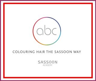 Vidal Sassoon ABC Color **Colouring Hair the Sassoon Way* Step by Step 