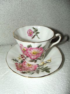Nice Vintage Adderley English Fine Bone China teacup and saucer