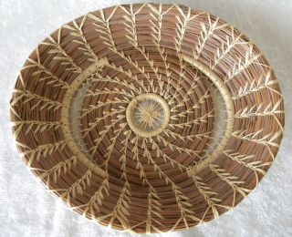 Artist Handmade Pine Needle Basket Oval Shaped Beautiful