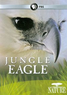 Nature Jungle Eagle DVD, 2011