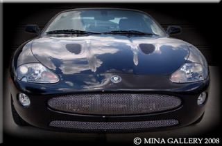 Jaguar XK grill in Exterior