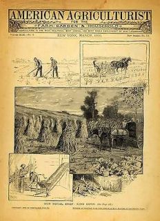 1890 Cover American Agriculturist Farming Machine Antique Horse Plow 