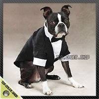 SUIT TUXEDO WEDDING Costume Dog Cat Pet 22 30lb Beagle Dachshunds 