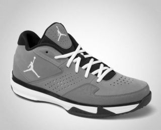 Mens Nike Air Jordan Team Iso Low 2 II Grey/Black/Whi​te 510943 003 