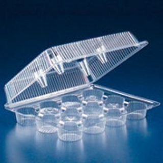 12 Cupcake/Muf​fin Clear Plastic Container, 13 x 10 x 3 3/8, SLP212 