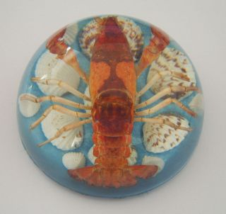 cm Dome Paperweight   Red Lobster (Freshwater Crayfish) Clear 
