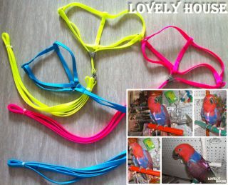 Adjustable Large/Medium Parrot/Bird Harness Multicolor