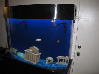 90 gallon fish tank in Aquariums