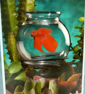 Marineland Betta Planter   a Fish Bowl for Use in Potted Plants   Nib