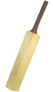 cricket bat in Cricket