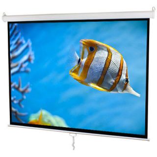 NEW 70 Manual Pull Down Projector Projection Screen Matte White 43 