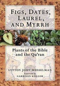 Figs, Dates, Laurel, and Myrrh Plants of the Bible and