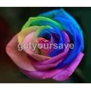 Rose seed 9 Color Colorful Seeds Rainbow Rose Seed Home Garden Flower 