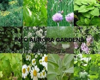 Home & Garden  Yard, Garden & Outdoor Living  Flowers, Trees 