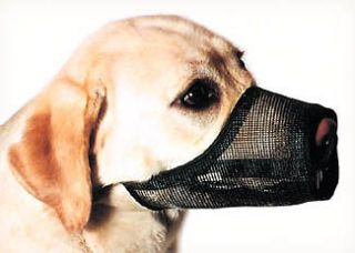 dog muzzle mesh