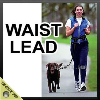 dog leash in Leashes