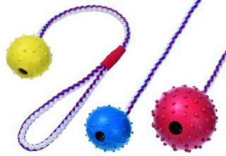 Dog Puppy Boomer Pimple Ball   Classic Chew Toy   Rubber Ball on Rope 