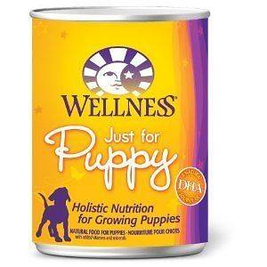 wellness dog food in Food