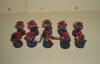 40k Space Marine Blood Angels Pro Painted Tactical Squad #3
