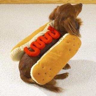 halloween costumes for dogs in Dog Costumes