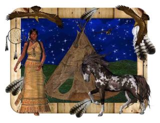   Shirt Native American Woman Horse Eagle Teepee Dream Catcher NWOT