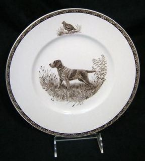   Pointing Griffon Wedgwood Etruria American Sporting Dog Plate Kirmse