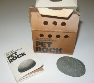 Vintage 1975 Pet Rock Original With Crate Nest Instructions Great 