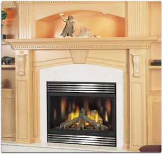 direct vent gas fireplaces in Fireplaces