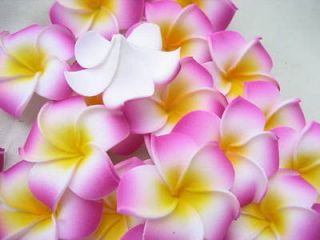 12 rosered Foam Floating Frangipani/Plumeria/Hawaiian Flower Heads 