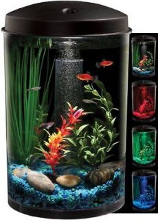 aquarium in Aquariums