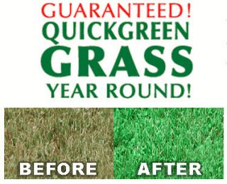 Grass Seed / Lawn Seed / Greener Grass / Green Lawn
