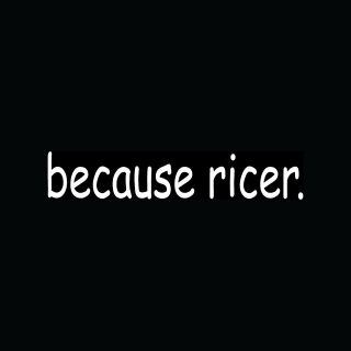 BECAUSE RICER Sticker Funny JDM Import Vinyl Decal Euro Japanese Hater 