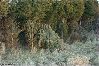 ghillie suits in Hunting