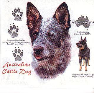 Australian Cattle Dog Dog Printed Long Sleeve Sweatahirt***S​ize 