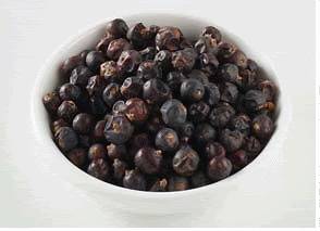 Juniper Berry   Premium Natural Loose Berries   1/8 Pound   Free 