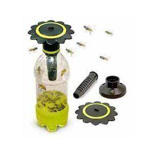 Soda Bottle Wasp Trap Bees Wasps Hornets Yellow Jackets   American 