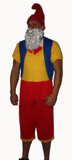 Funny Garden Gnome Christmas Fancy Dress Elf Stag Party Costume 