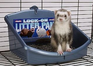Marshall Ferret Rabbit Rat Cage Lock On Litter Pan