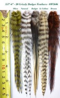 20 Whiting Grizzly Feathers for Hair Extension and Fly Tying, #5606, 5 