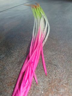   TONE SUNSET FADE PINK ORANGE YELLOW WHITE REAL FEATHER HAIR EXTENSIONS