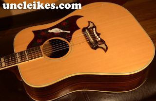 Alvarez Guitars in Acoustic