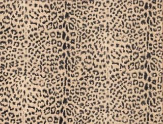 BATHROOM TIGER, LEOPARD PRINT Wallpaper FF22077