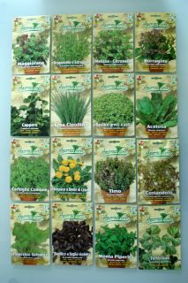 HERB SEEDS FRESH Top Quality.MANY VARIETES TO CHOOSE FROM Caper Anise 